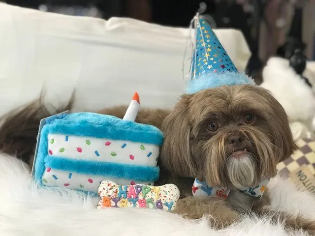 Birthday Cake Blue Plush Toy