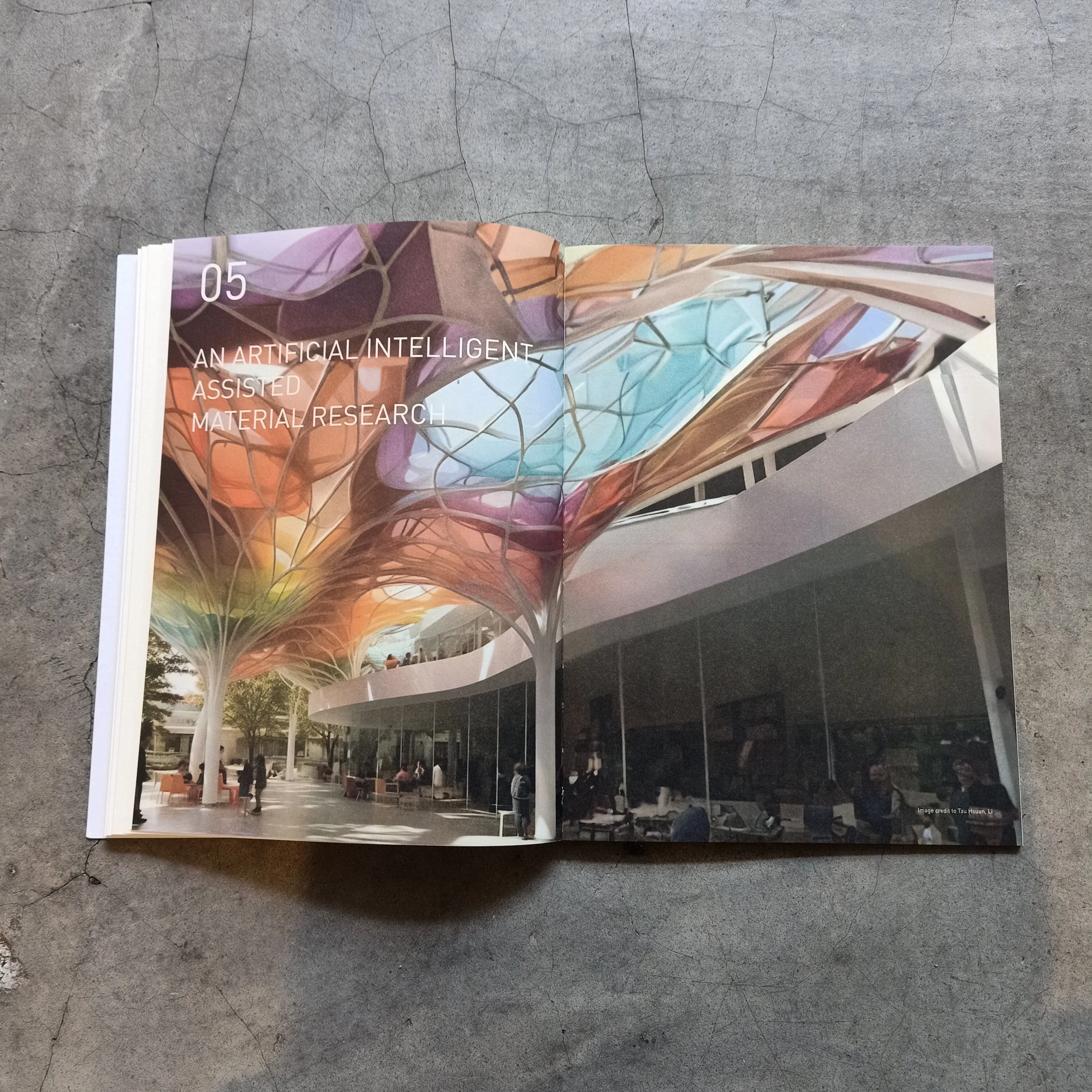 Borneo Laboratory: Material Transformation Since 2022