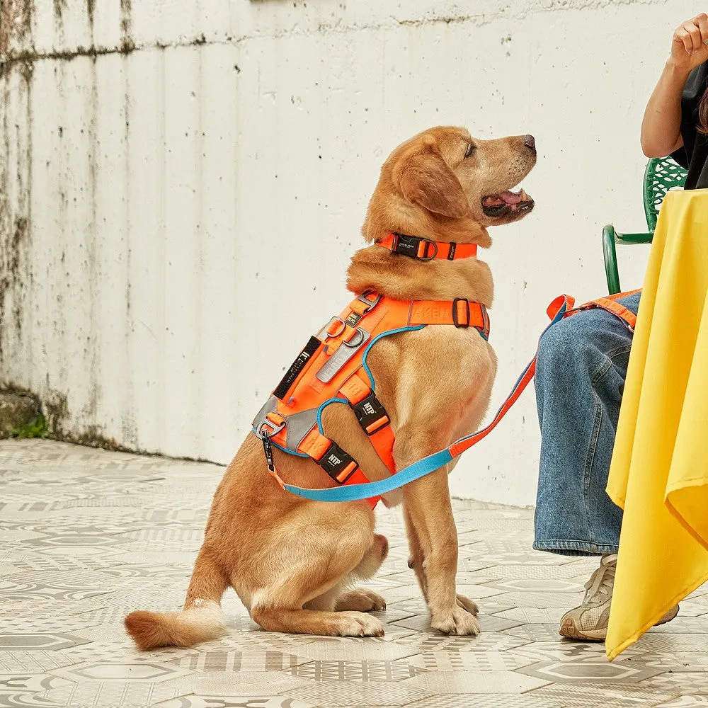 Earthtec Standard Dog Collar