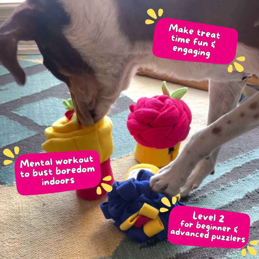 For The Love Of Dog Box of 3 Snuffle Pupcake Toy for Dogs