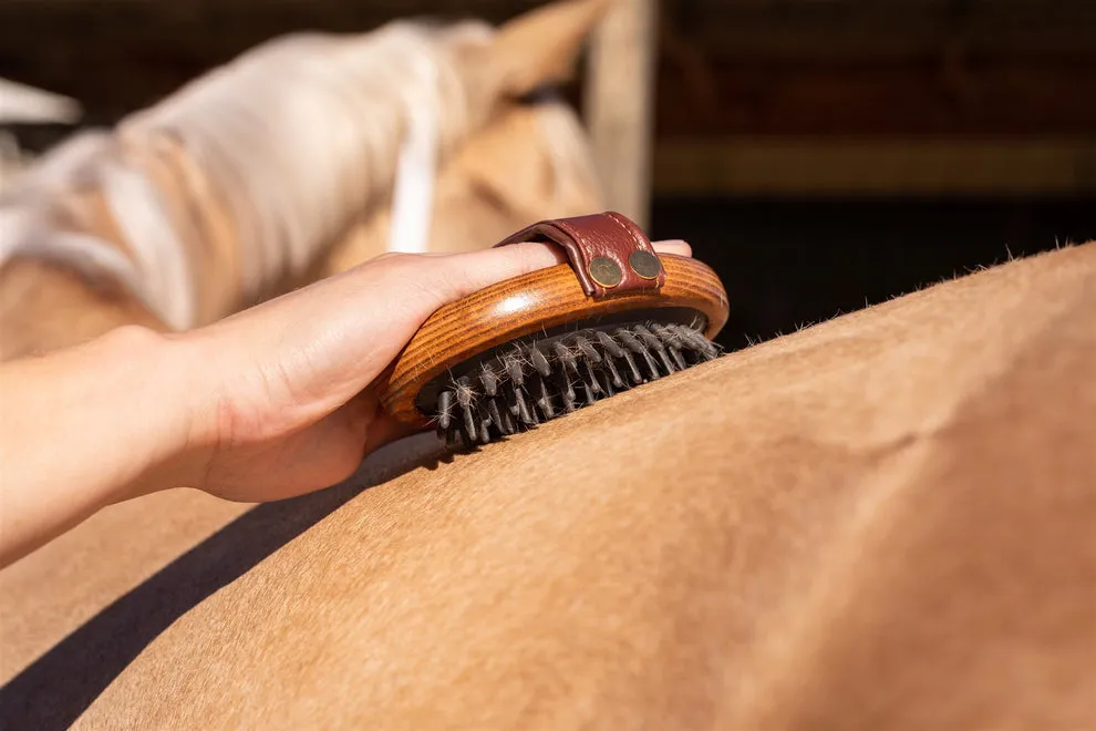 Hairy Pony Mini Rubber Brush