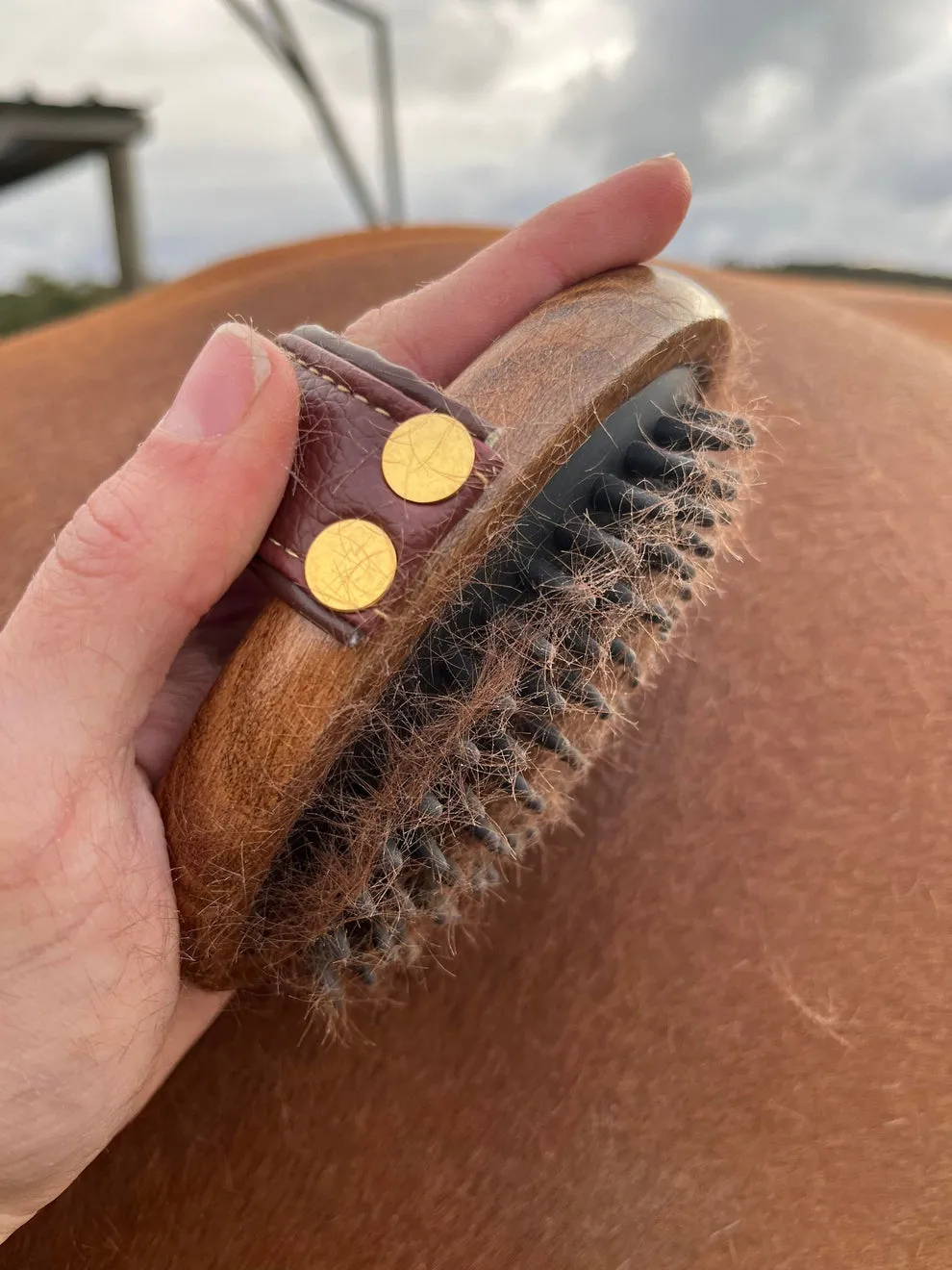 Hairy Pony Mini Rubber Brush