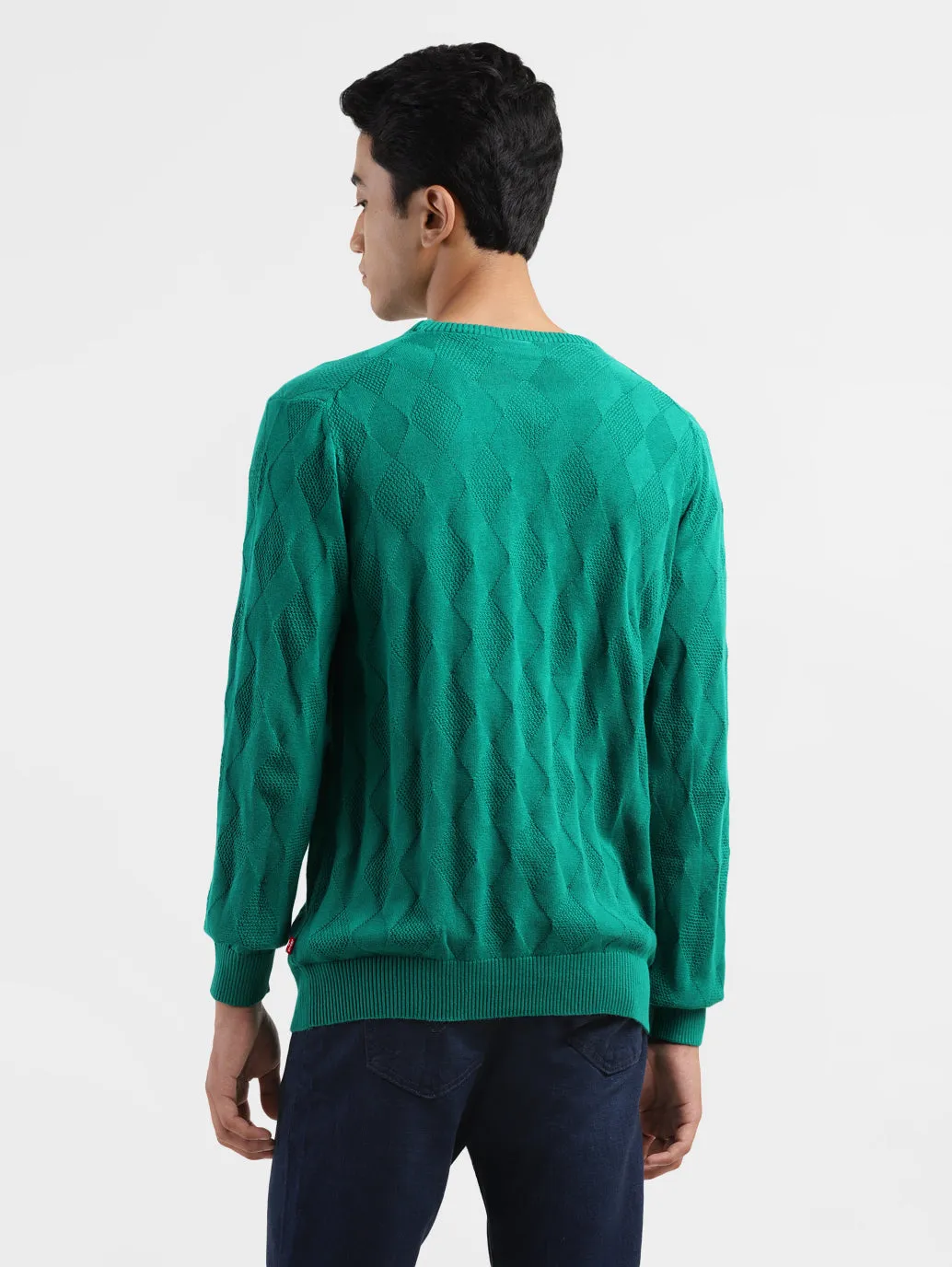 Men's Self Design Green Crew Neck Sweater