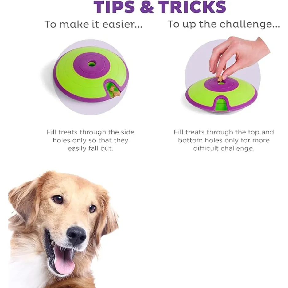 Outward Hound Treat Maze Interactive Treat Puzzle Dog Toy Intermediate