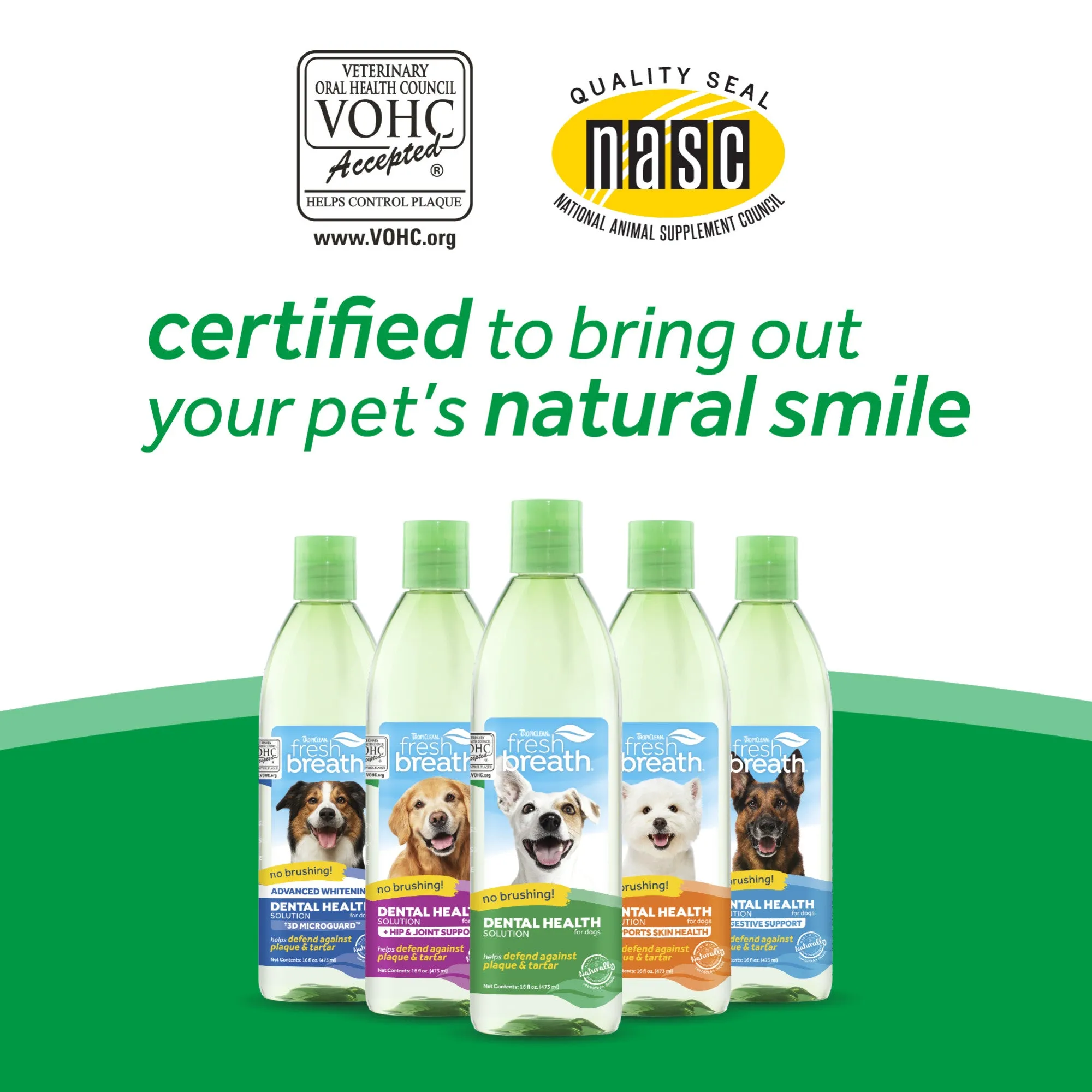 TropiClean Fresh Breath Advanced Whitening Dental Health Solution for Dogs, 16oz